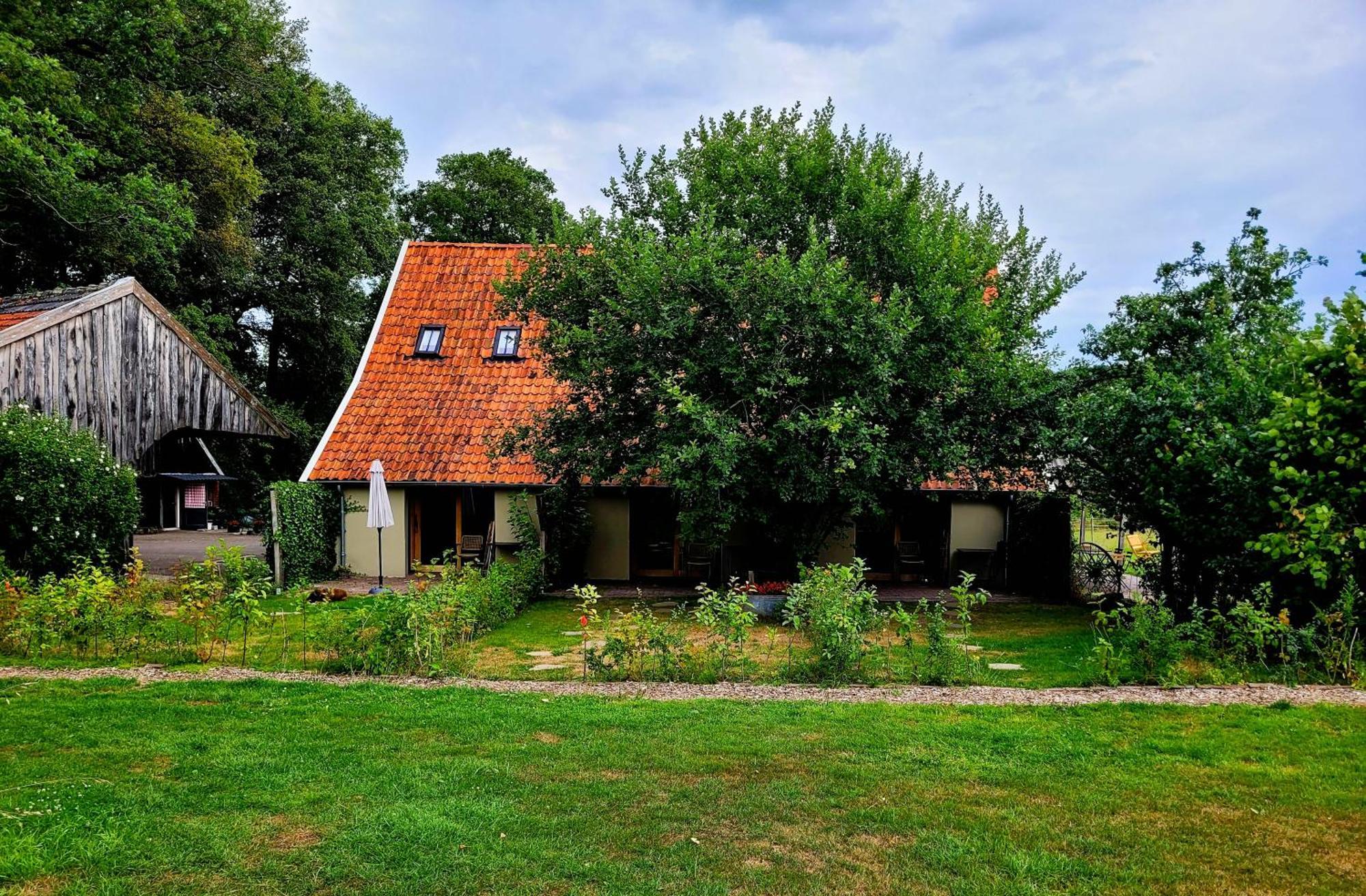 'T Buitenverblijf Erve Punte Losser Exterior foto